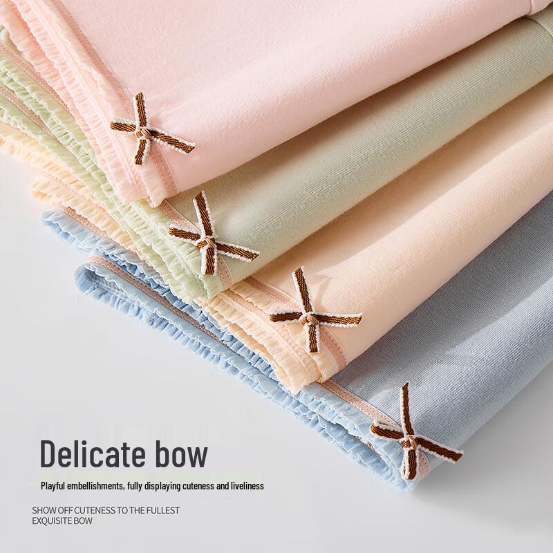 Regal Lady Women's Mid-Waist Antibacterial Underwear 4-Pack