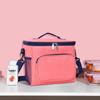 Li Shen Insulated Picnic Lunch Bag