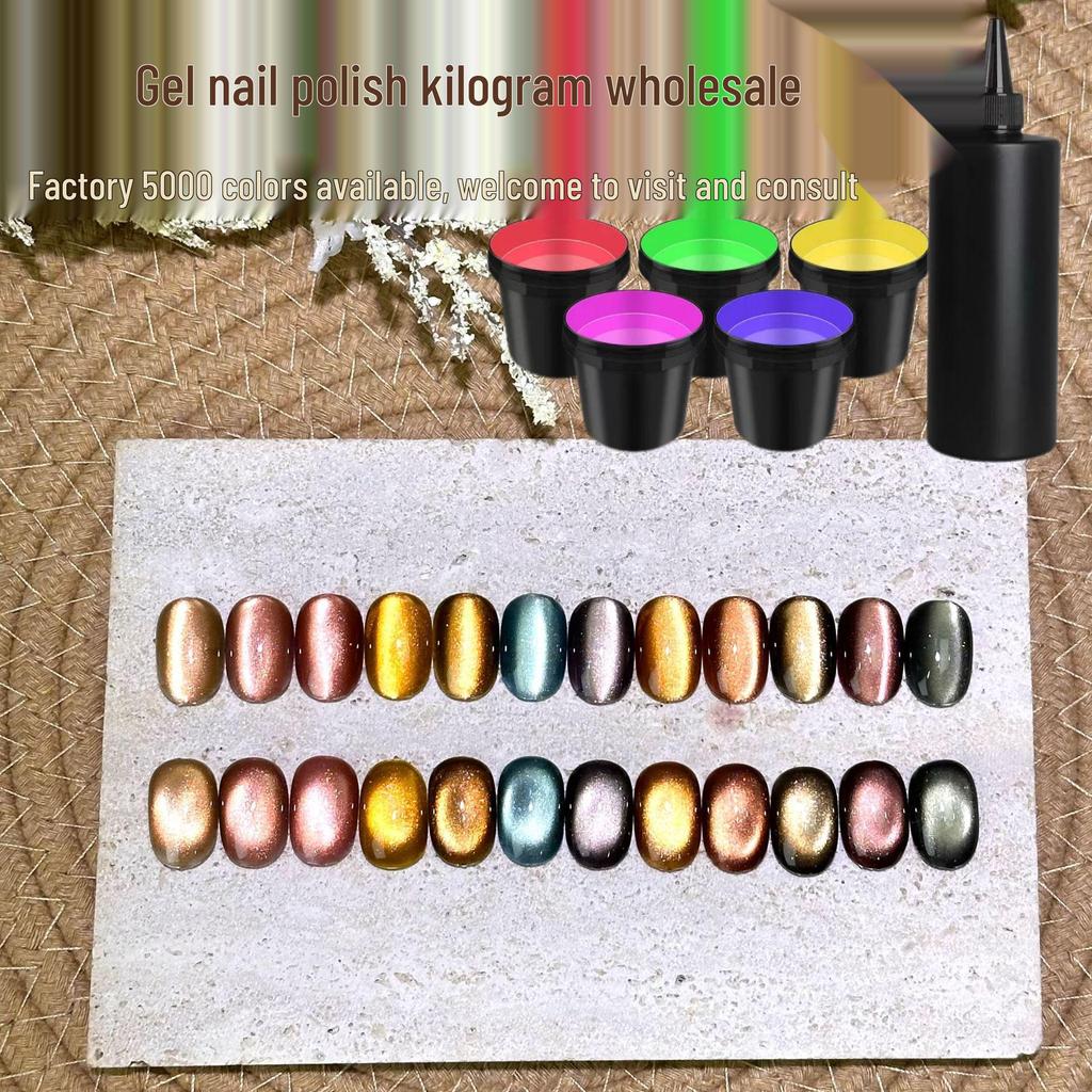 1kg Cat Eye & Solid Gel Polish Pack for Nail Art - Transparent & Solid Colors for Salon Use