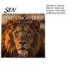 Thick Paper Wall Hanging 2027 African Lion Calendar, 12-Month Wildlife Photography Planner with Durable Metal Coil Binding Binding, for Home