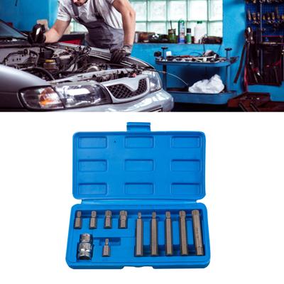 11-teiliges Chrom-Vanadium-Stahl Schraubenschlüssel-Bit-Set Ergonomischer Griff Professionelles Mechaniker-Werkzeugset Kompaktes Aufbewahrungsetui
