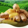ZOOLY - No.8 Ginger Scalp Soothing Massage Scrub (Travel Size)
