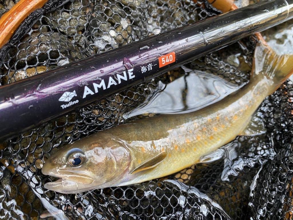 Tsulino AMANE [Short Joint All-Purpose Mountain Stream Rod/Short Joint Rod/Short Joint Rod] (540 (5.4m))
