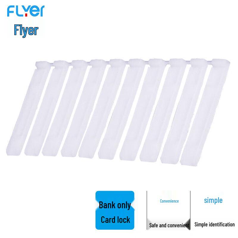 FLYER Disposable Card Security Seals