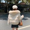 Outer Women 2025 New Autumn and Winter Style Fried Street Large Fur Collar Hooded Short Down Cotton Jacket Loose Thickened Warm