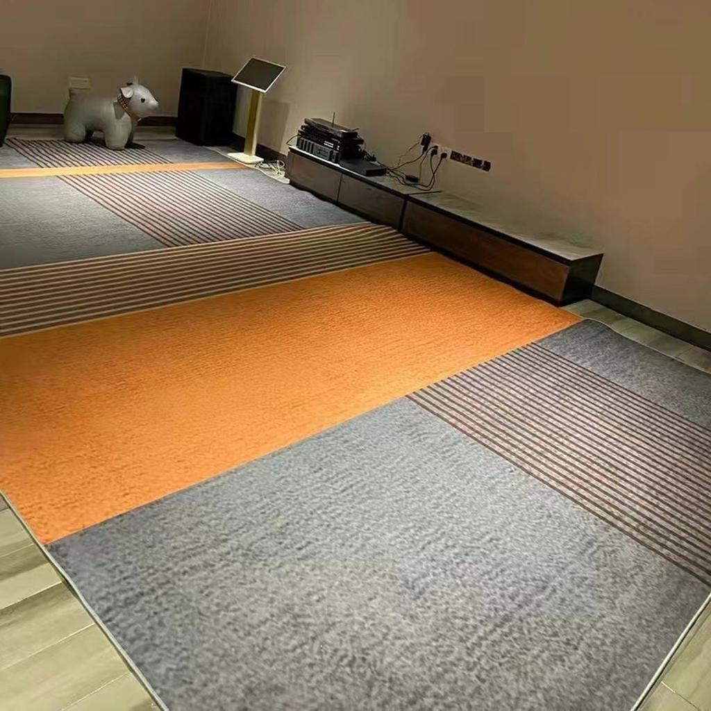 Modern Light Luxury Orange Carpet Home Soft Lounge Rugs Dirty Living Room Large Area Rug Bedroom Decor Carpets Entrance Door Mat