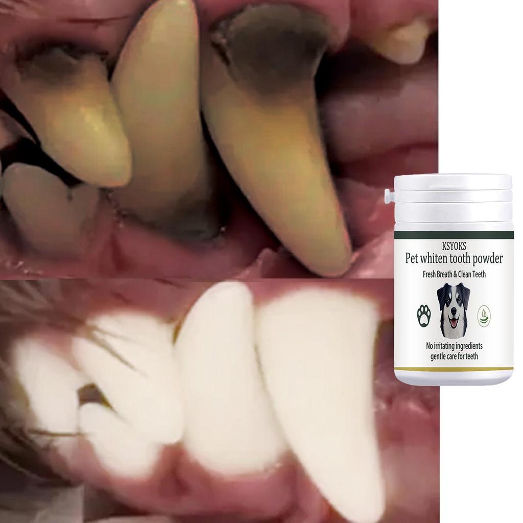 Pet Tooth Powder Brings a Delicate and Clean Feeling, and After Cleaning