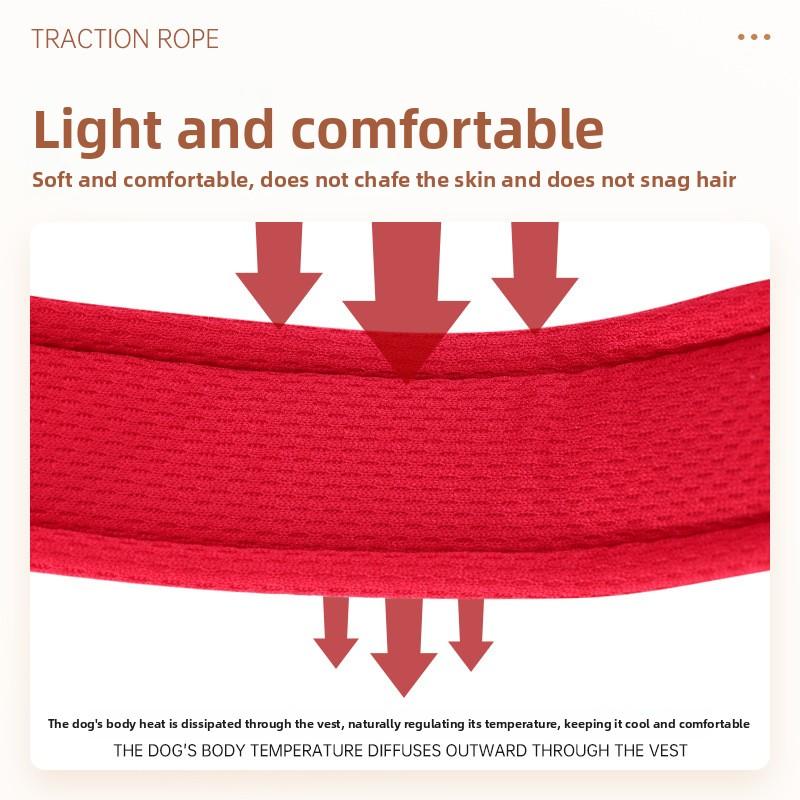 Dog Y shaped harness no pull reflective adjustable  and comfortable for small medium dogs walking training outdoor