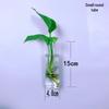 Creative Wall-Mounted Transparent Glass Vase for Plants and Fish