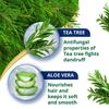 Himalaya Anti Dandruff Tea Tree Conditioner For All Hair Types 80ml – Nourishes, Smoothens, Reduces Breakage, Leaves Hair Soft And Healthy