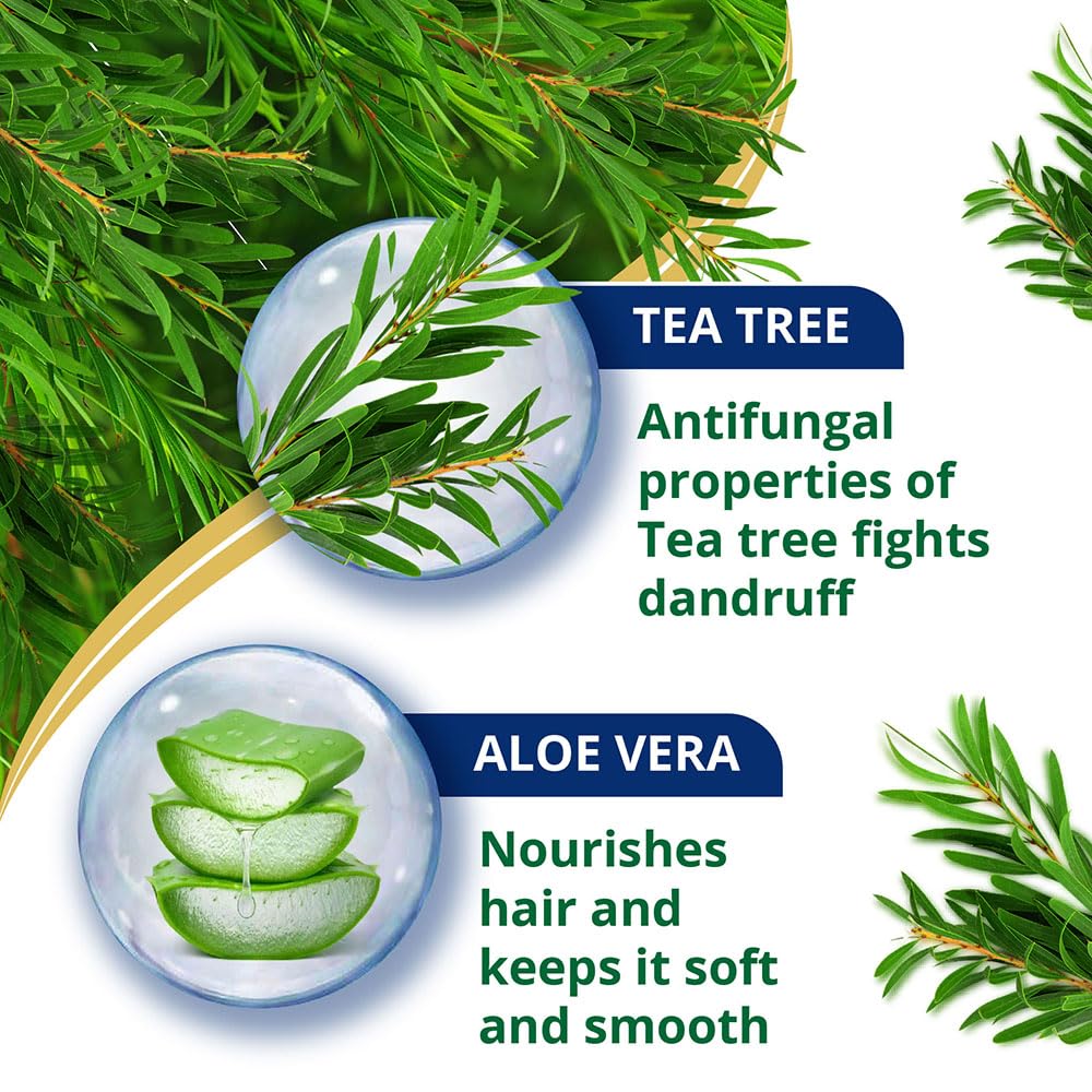 Himalaya Anti Dandruff Tea Tree Conditioner For All Hair Types 80ml – Nourishes, Smoothens, Reduces Breakage, Leaves Hair Soft And Healthy