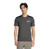 Nike Dri Fit T Shirts Men's Gray Crew Neck Moderate AT3924-010