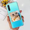 For OnePlus Nord Case AC2001 AC2003 Stylish Painted Cover Soft Siliicone Phone Case For Oneplus 8 Nord 5G One Plus Z Back Shell