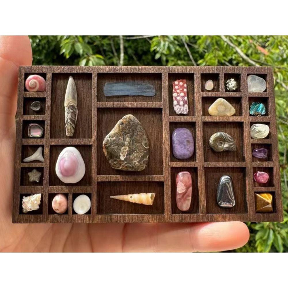 Compartments Mini Jewelry Holder Variety Grids Goods Display Rack Model Dollhouse Shelf  Ornaments