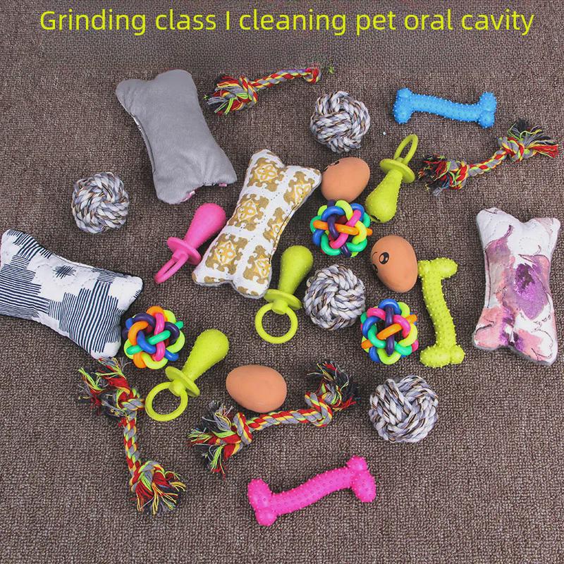 Durable Dog Toys: Squeaky Chicken and Molar Ball for Puppies and Adult Dogs