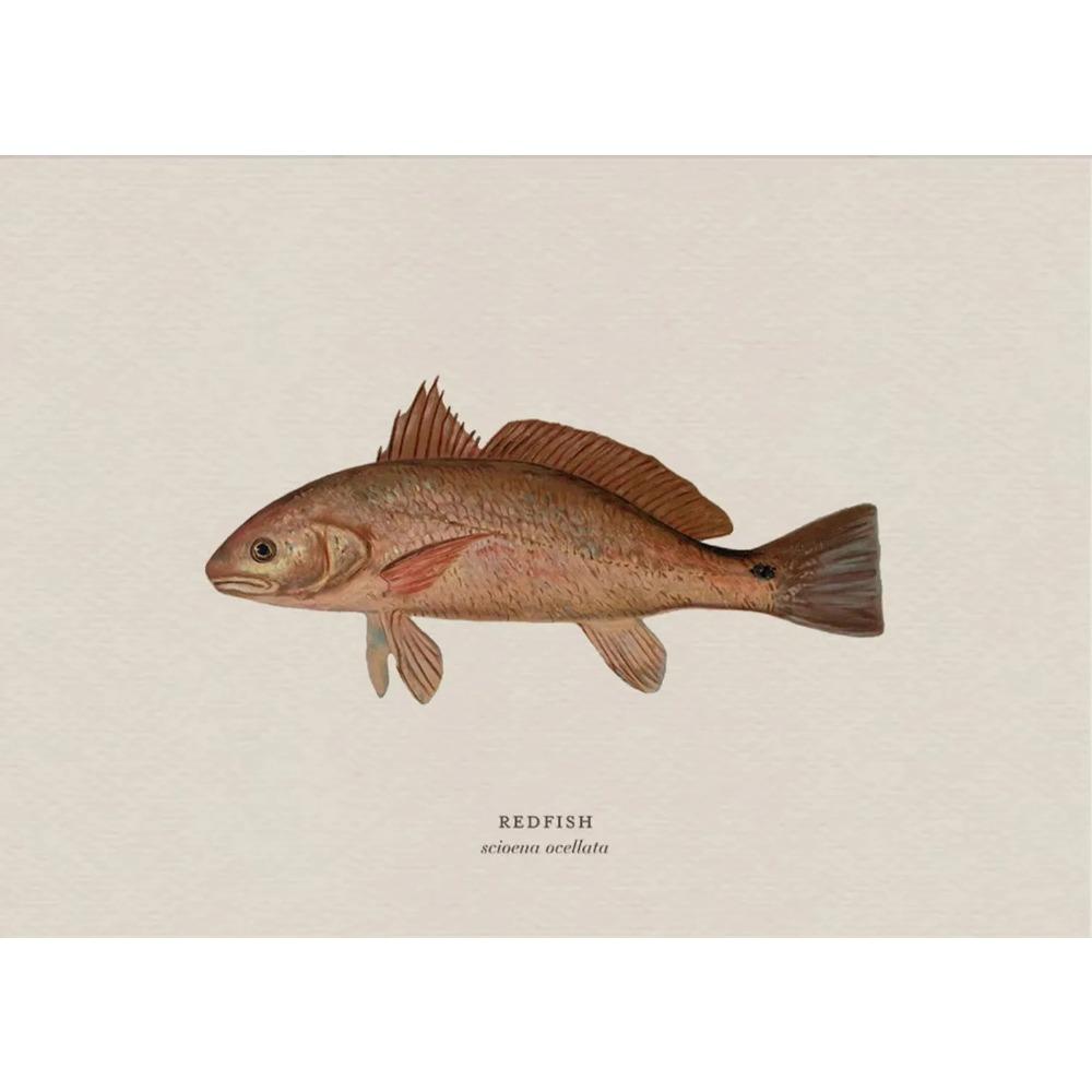 Vintage Bass Fish Trout Fly Fishing Posters Prints Canvas Painting Fisherman Retro Wall Art Picture for Living Room Home Decor