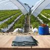 For Plant Care 130x90x150 Cm Plant Growth Greenhouse Cover For Plants Accessory Spacious Greenhouse Stable Environment