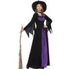 Halloween, witch costume, purple vampire witch costume, women's costume, masquerade, show uniform dress.