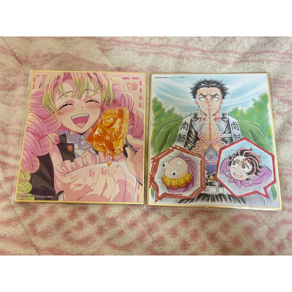 Used Demon Slayer: Kimetsu no Yaiba Special Broadcast 2025 Provided Illustration Reproduction Mini Shikishi - Pillar Training Edition [Mitsuri