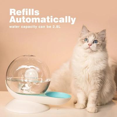 Drinking Bowl Large Capacity Filter Kitten Drinker No Electricity Pet Accessories Cat Automatic Water Dispenser Dog Snail