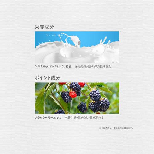 The Saem Official Japan Perfume Hand Moisturizer, Blackberry 0739, Moisturizing Hand Cream