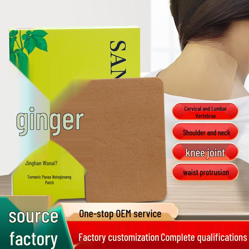 Turmeric Sanqi Moxibustion Patch for Neck, Joint & Spine Care