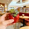 Small Diamond Heart Shape Planter for Small Plants 3D Printed Mini Geometric Heart Flower Pot for Indoor Home Office Desktop Decor