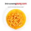 XCG Sweet Corn Particle Fishing Bait for Grass Carp, Small Bottle