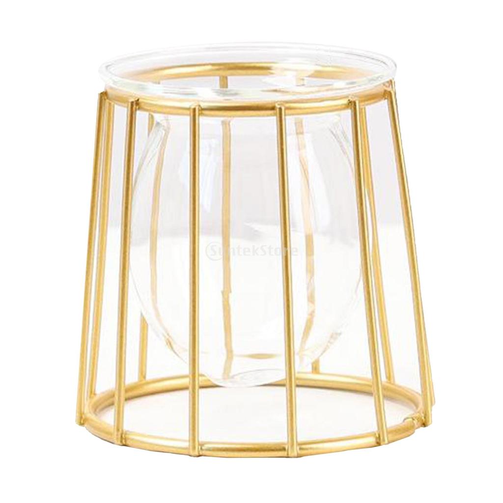 Metal Wire 3D Geometric Hydroponics Vase Holder Watering Planter Flower Pots Test Tube Vase Plants Home Desktop Table Decor