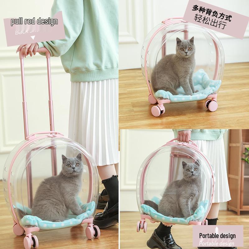 Portable Transparent Pet Carrier: Multi-Purpose Large Capacity Travel Bag for Cats