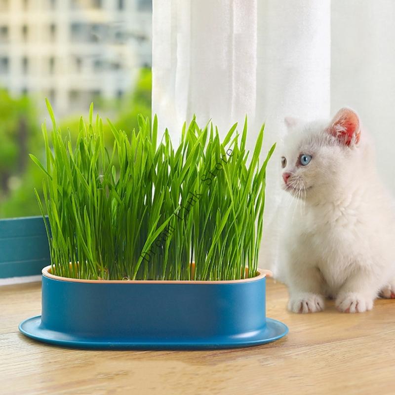 Q1FD Friendly Hydroponics Tray Promote Healthy Growth Without Soil Home Planting Tool China Mainland