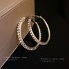 Silver Needle Diamond Round Earrings Exaggerated High-end Design Ins Earrings Niche Light Luxury Temperament New Earrings Women