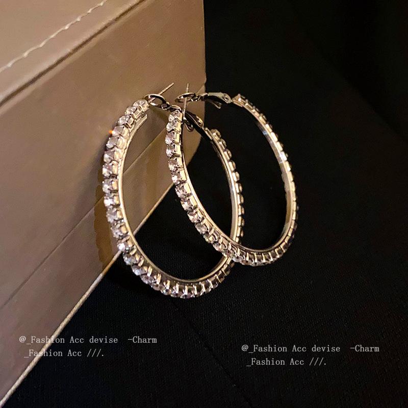 Silver Needle Diamond Round Earrings Exaggerated High-end Design Ins Earrings Niche Light Luxury Temperament New Earrings Women