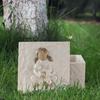Cartoon Pet Coffin Box Universal Cat Memorial Box Creative Resin Pet Urn  Pet Supplies