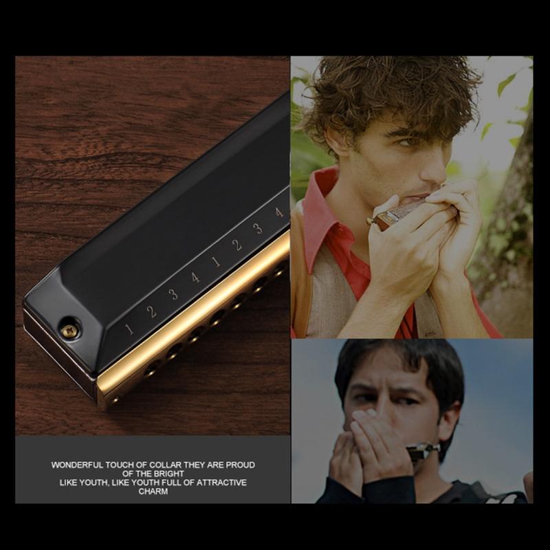 12 Holes Blues Harp Diatonic Harmonica 48 Tones Mouth Organ Harmonica For Adults