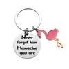 Inspirational Gift Flamingo ‘Never Forget How Flamazing’ Stainless Steel Keyring
