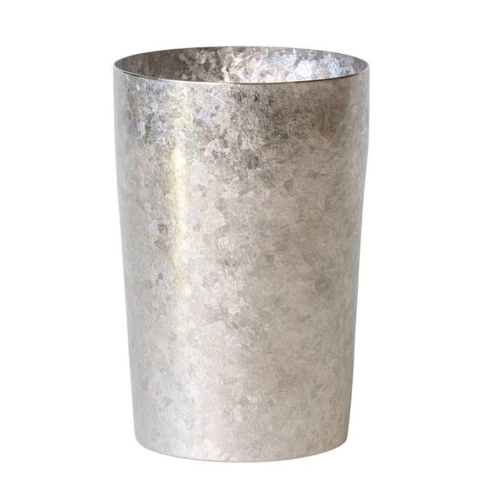 HORIE Titanium Double Wall Tumbler Kamoyaki Light 270ml, Silver