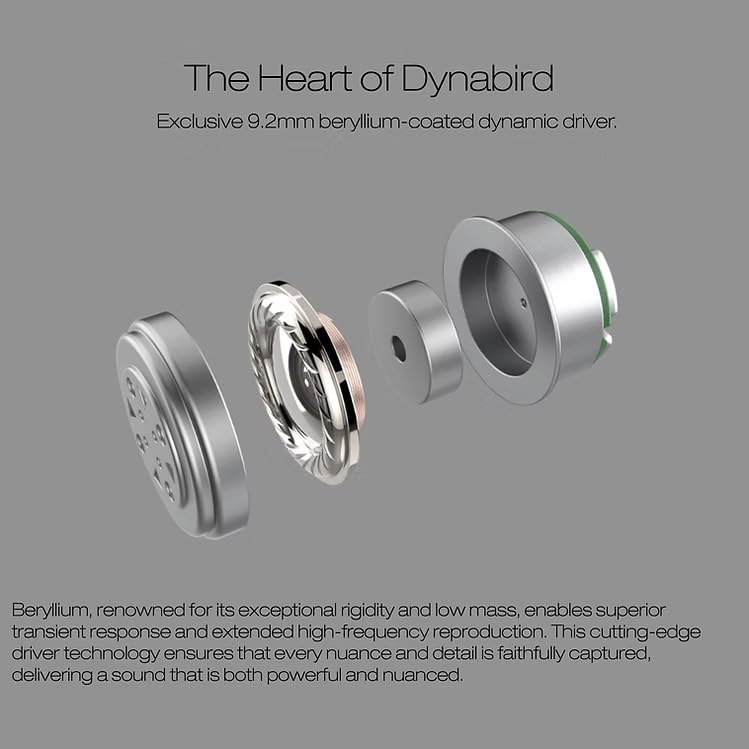 ORIVETI bleqk Dynabird Single Dynamic Driver HiFi IEM -