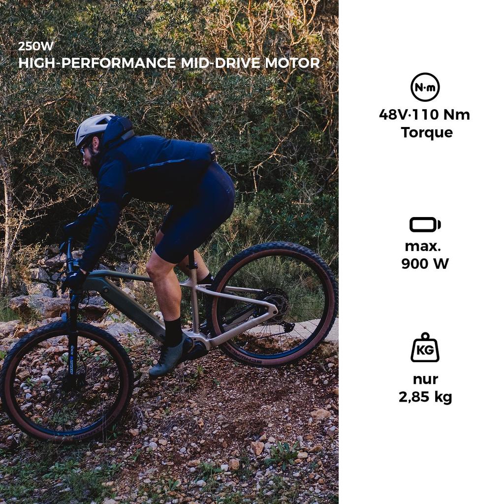 Elektrofahrrad DERUIZ Dolomit 29" 250W Mittelmotor MTB EBike, 720Wh Samsung Akku, Max. Reichweite 180km, Intelligenter Automatikmodus, 110Nm Drehmoment, Zuladung 150kg