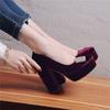 Spring Velvet Platform High Heels Pumps Shoes Woman Fashion Sexy Blue Red Women's Heeled Round Toe Office Party Wedding Shoes