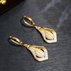 Real gold electroplated micro-inlaid water drop-shaped opal ear buckle Korean version fashion temperament earrings light luxury high-end earrings wome