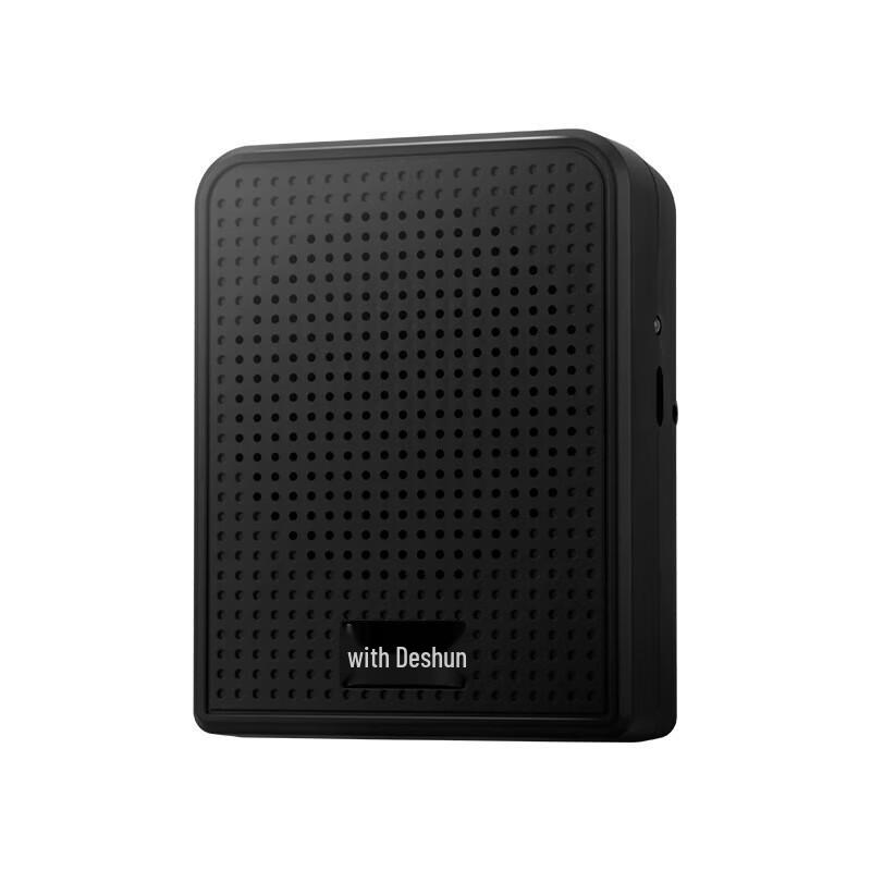DESHUN Wireless Portable Voice Amplifier with Bluetooth and FM Radio