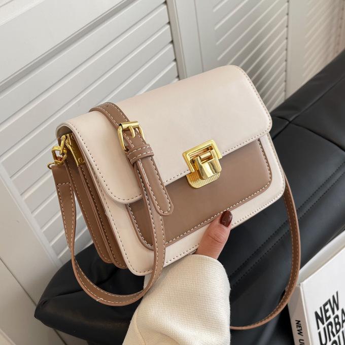French niche bag women's 2025 new trendy high-end women's messenger bag fashion small square bag versatile shoulder bag