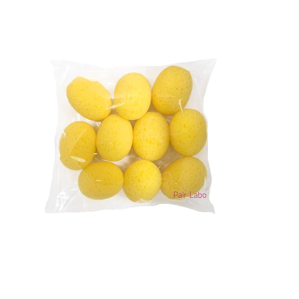 PairLab Artificial Sponge for Commercial Use pieces Sanitary New Material as an Alternative to Traditional High Economical (10 total) Supplies,