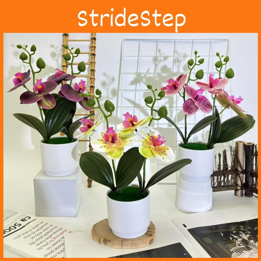Artificial Phalaenopsis Flowers Decorative Plant For Home And Decoration Event