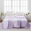 Duoxi'ai Summer Cooling Quilt for Single Bed