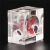 G1/4 Thread Flow Meter Sturdy Red Indicator Water Cooling Flow Meter Transparent Water Cooling System Flow Meter