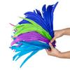 10pcs/lot Natural Roosters Chicken Cock Feather Tail Bulk 25-40cm for DIY Craft Dress Wedding Carnival Stage Perform Plume Decor