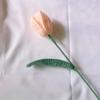 Fiore di Tulipano all'Uncinetto in Filato Fatto a Mano - Simulazione Regalo Eterno