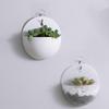 1PC Hydroponic Wall Hanging Flower Pot Wall Hanging Flower Vase Lazy Plastic Wall Hanging Wall Hanging Green Flower Pot